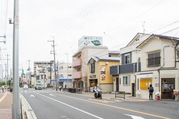 シロクマ-2009162