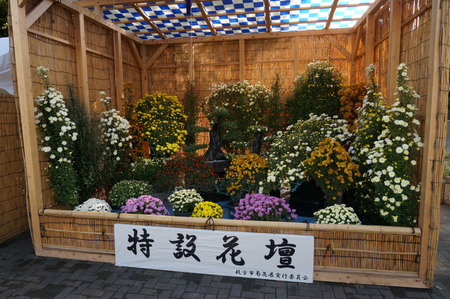 菊花展131105-21
