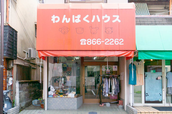 wanpaku_gaikan-20200827