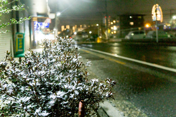 雪-1701143