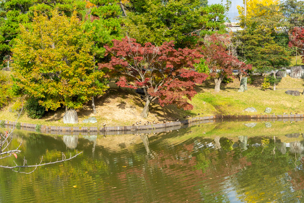 紅葉今日-2011131