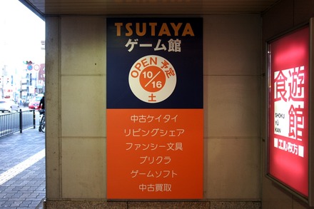 20101007tsuta1