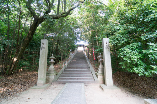 洛和HL800-273