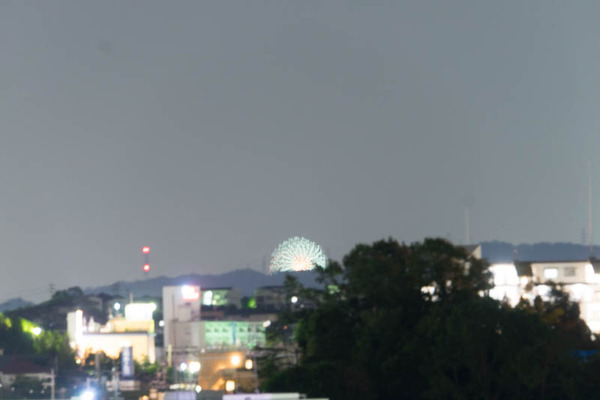 花火-1908034
