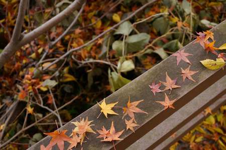 万年寺山131210-04
