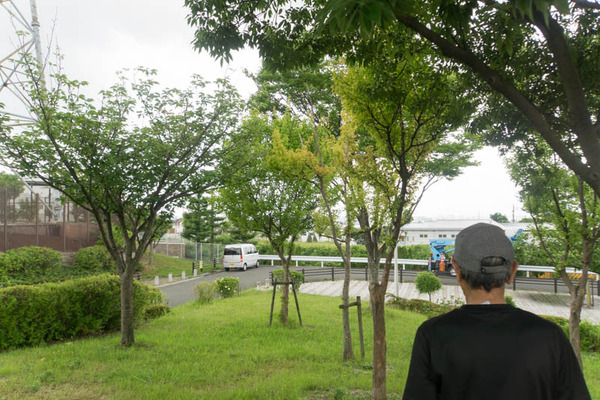 くにみの丘公園-18062817