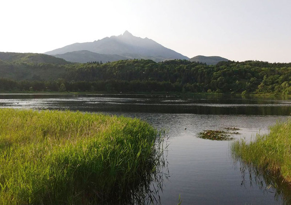 利尻島1