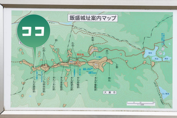 帰り道-1703088