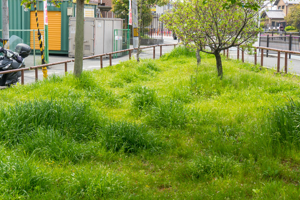 甲斐田公園-2004179