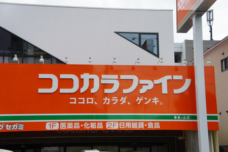 ココカラファイン20120908123928