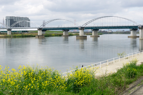 淀川