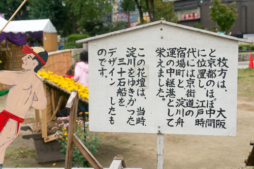 菊花展-14103151
