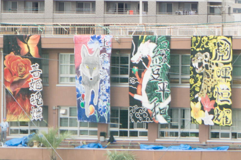 枚高の体育祭の旗【枚方フォト】 枚方つーしん