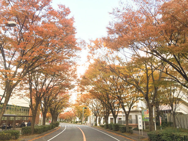 香里ヶ丘(秋)