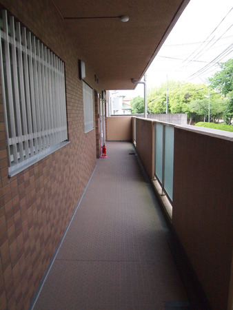 P5298364