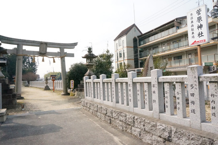 高橋開発12