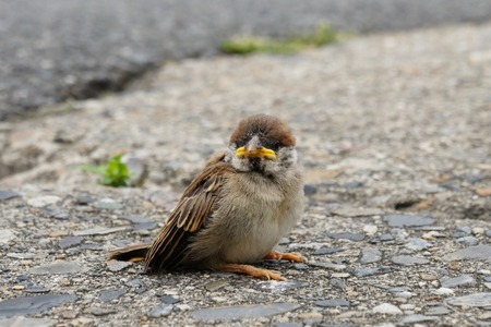 120526DSC01783