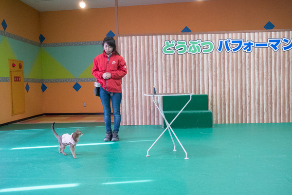 20190126_ハグハグたうん小-644