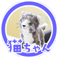 猫ちゃん