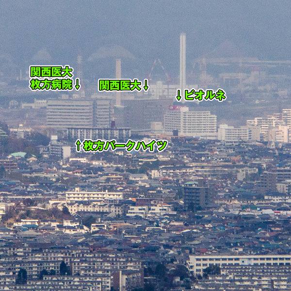 双眼鏡-1703082