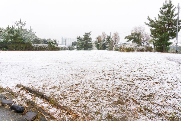 雪2101124