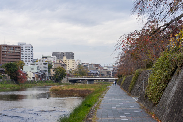 東海道-19111821