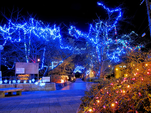 さくら近隣公園01