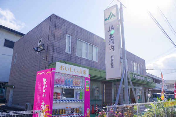 自販機-2011114