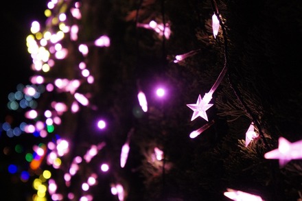 20101216DSC02120