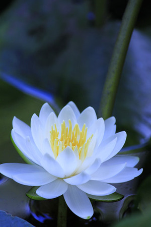 resize0034