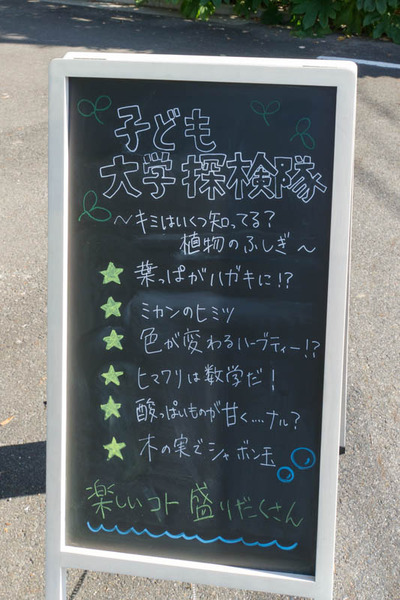 摂南大学-18111741