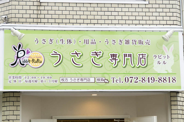 ラビットルル-1604024