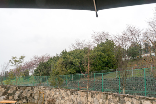 東部公園-15032942