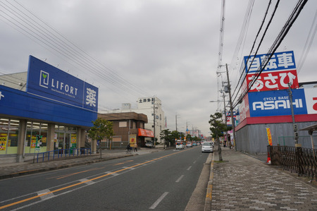 ライフォートくずは南店131224-08