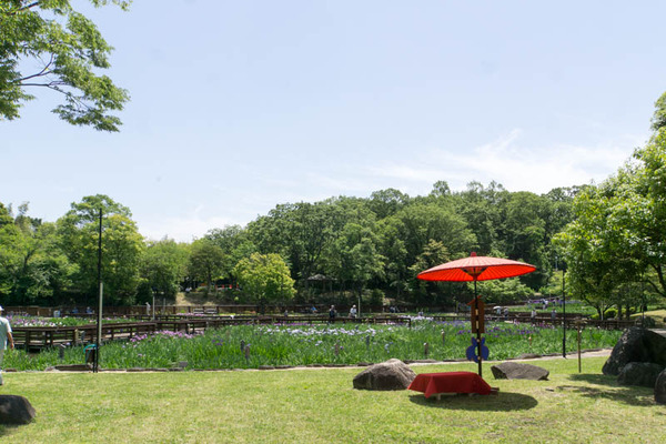 山田池公園-1805255
