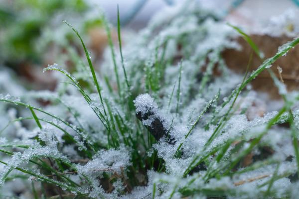 雪-2101127