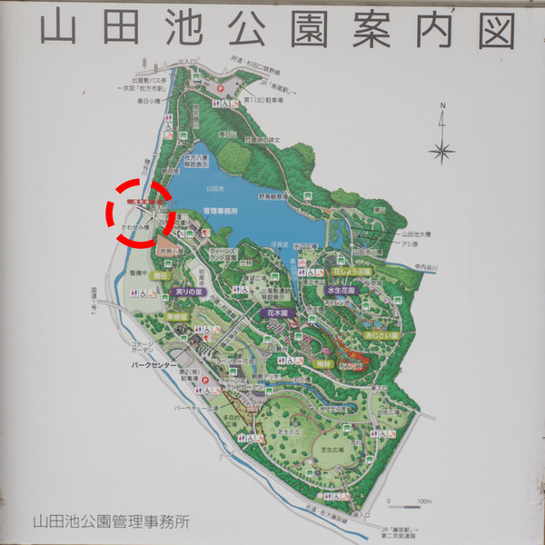 翡翠橋-2