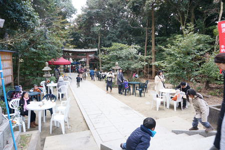 DSC07914