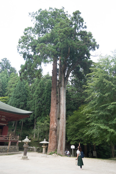 比叡山-203