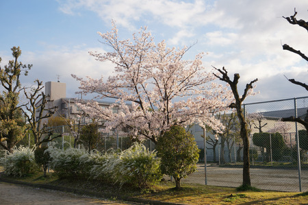 家具団地-8