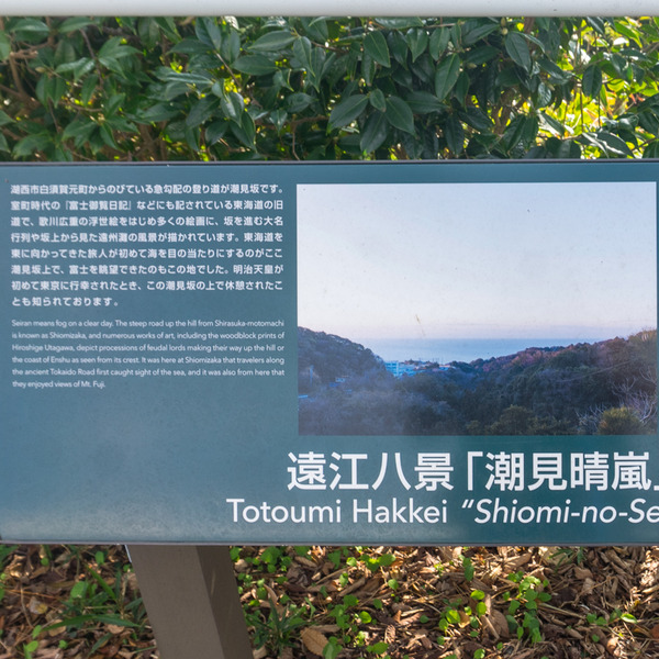 東海道8日目-19112516