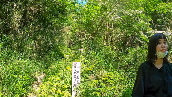新サンドイッチ山-2006042