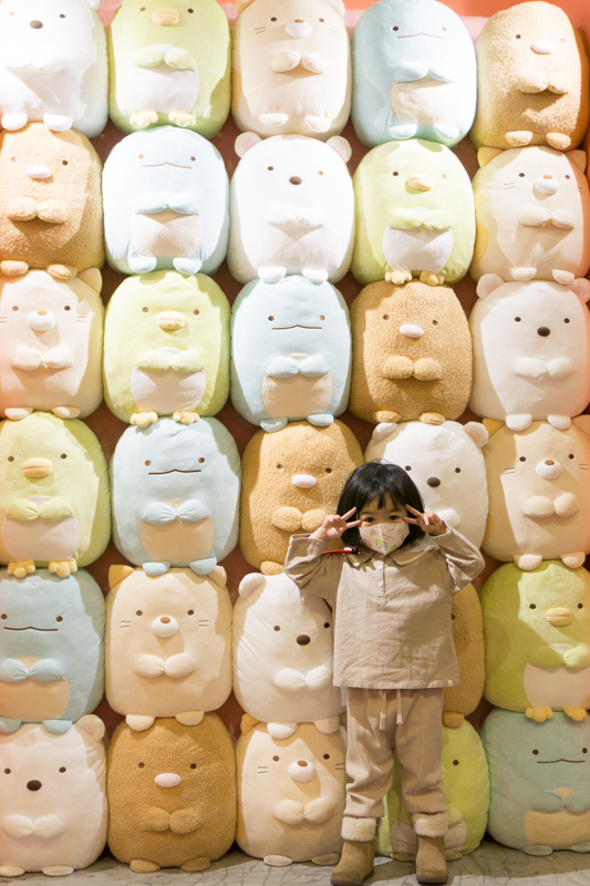 ひらパー5(小)-21032232