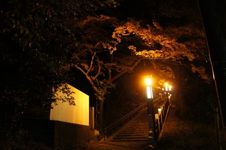 万年寺山の紅葉121203_04
