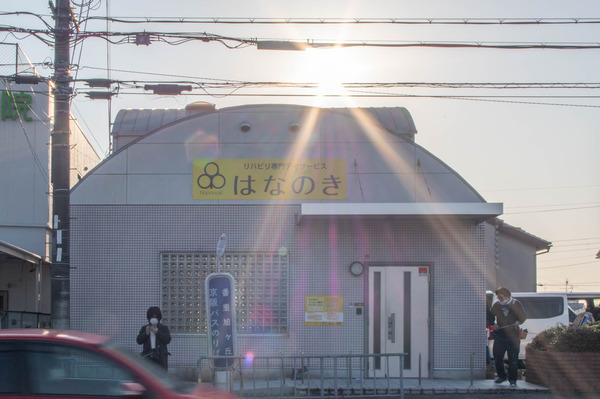花の木-2102201-2
