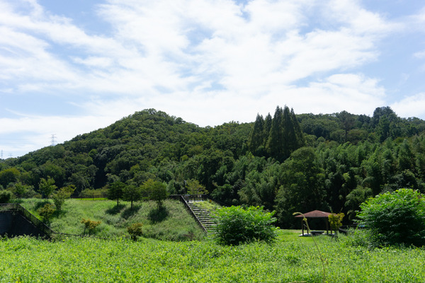 nk_kw_小-248