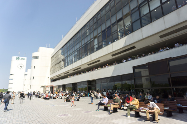 競馬場-6