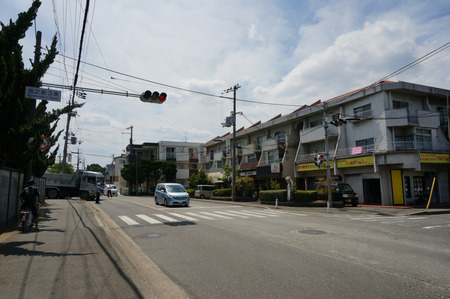 たぬきりゅう130614-03