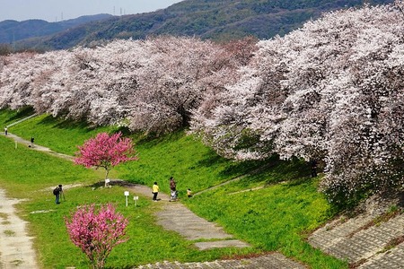 resize1098