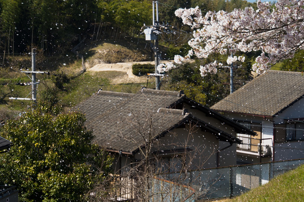 武生田公園-20040710